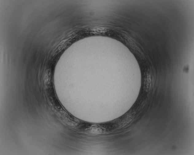 X0000115510608200912041103