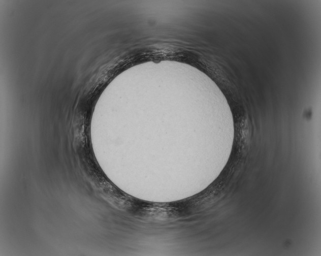 X0000115510615200912041103