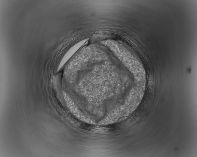 X0000115510617200912041103