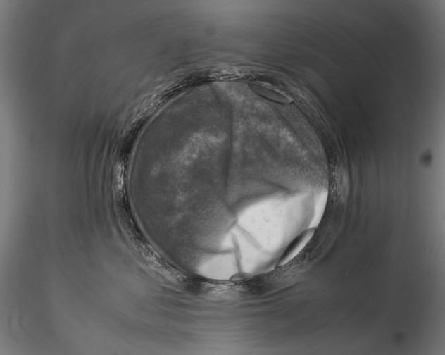 X0000115510621200912041103