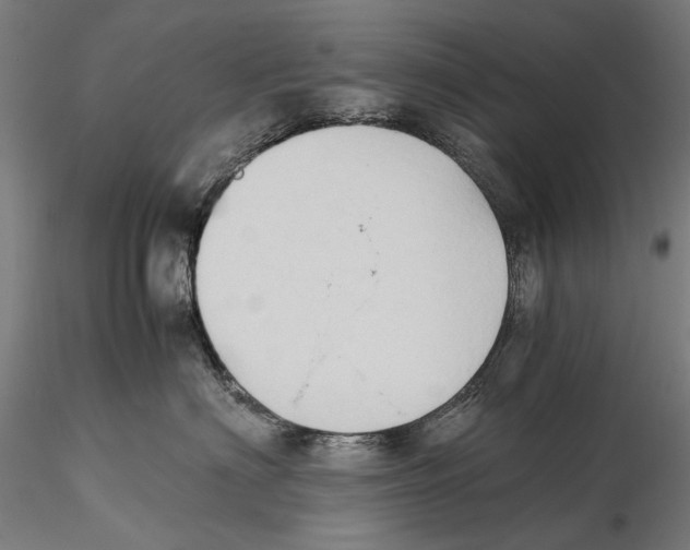 X0000115510622200912041103