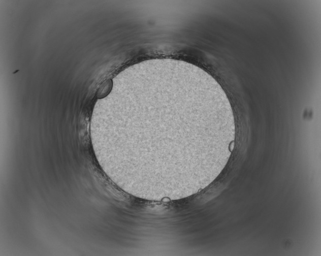 X0000115510624200912041103