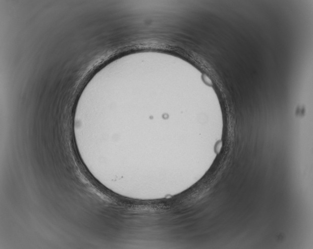 X0000115510625200912041102