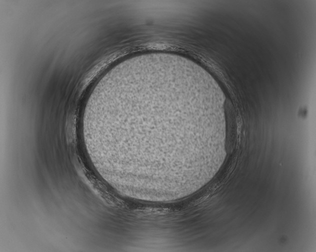 X0000115510626200912041102