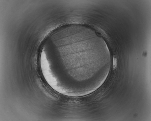 X0000115510627200912041102