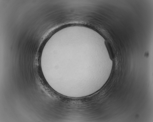 X0000115510628200912041102