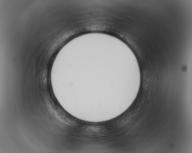 X0000115510631200912041102