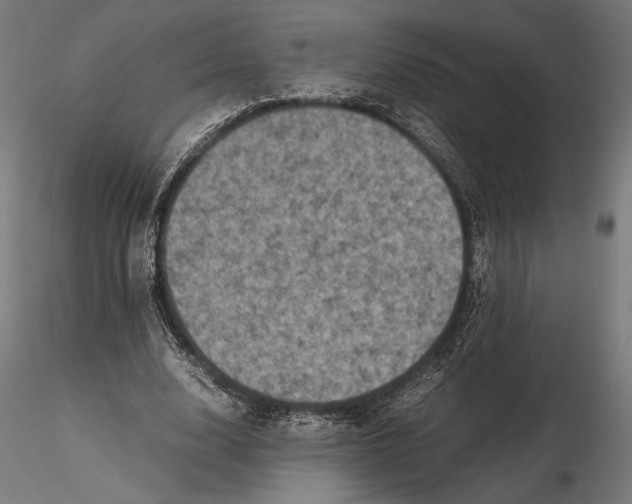 X0000115510632200912041102