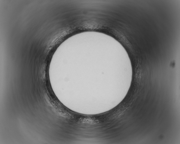 X0000115510635200912041102