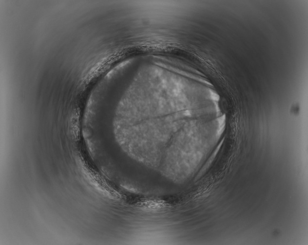 X0000115510642200912041103