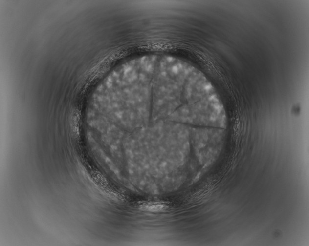 X0000115510643200912041103