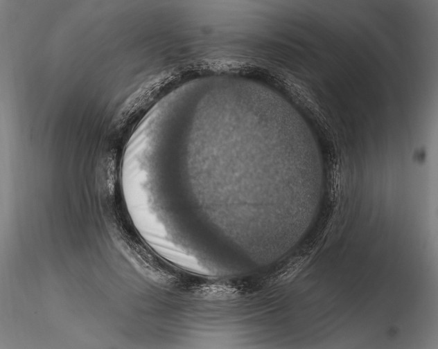 X0000115510644200912041103