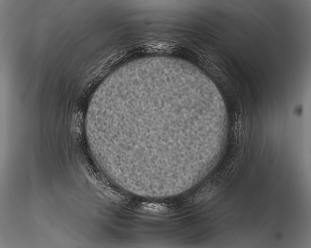 X0000115510649200912041103