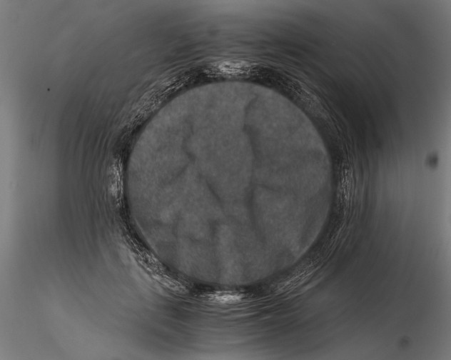 X0000115510651200912041103