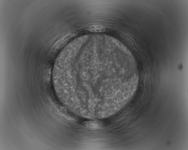 X0000115510652200912041103