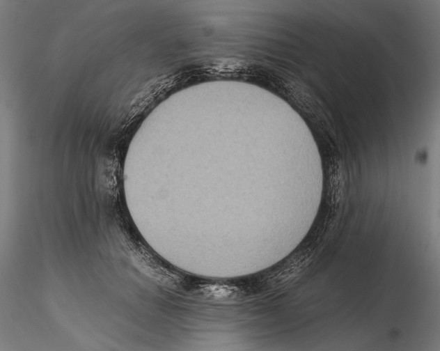 X0000115510654200912041103