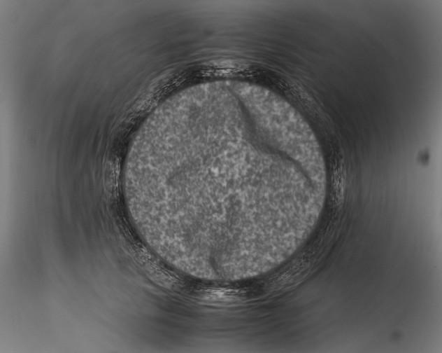 X0000115510657200912041103