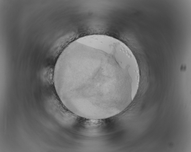 X0000115510672200912041103