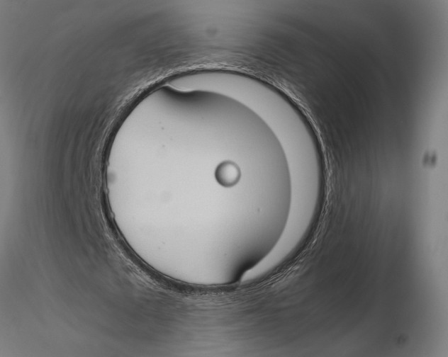 X0000115510673200912041102