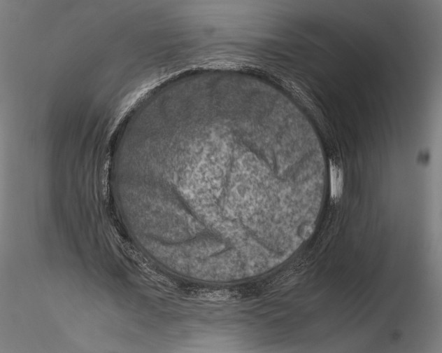 X0000115510675200912041102