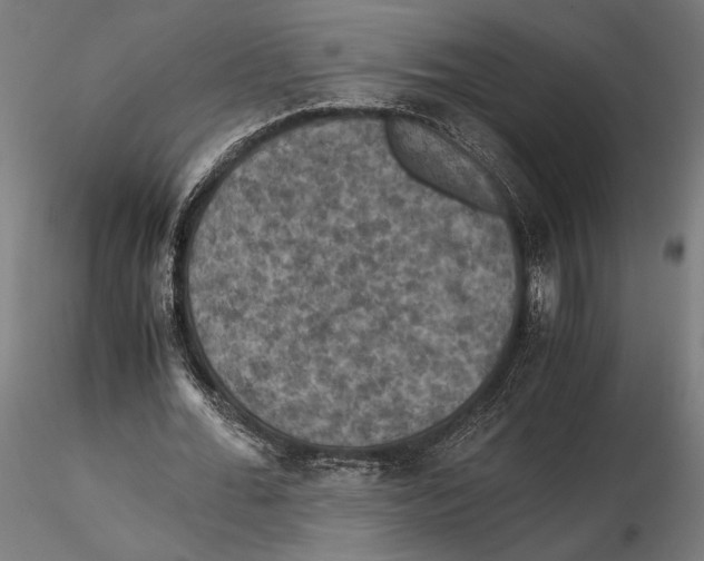 X0000115510676200912041102