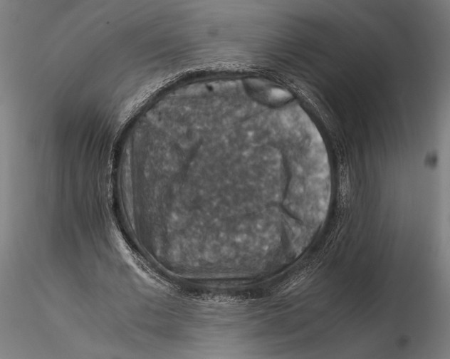 X0000115510677200912041102