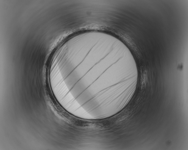 X0000115510678200912041102