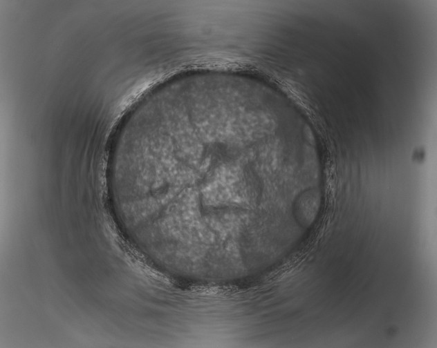 X0000115510679200912041102