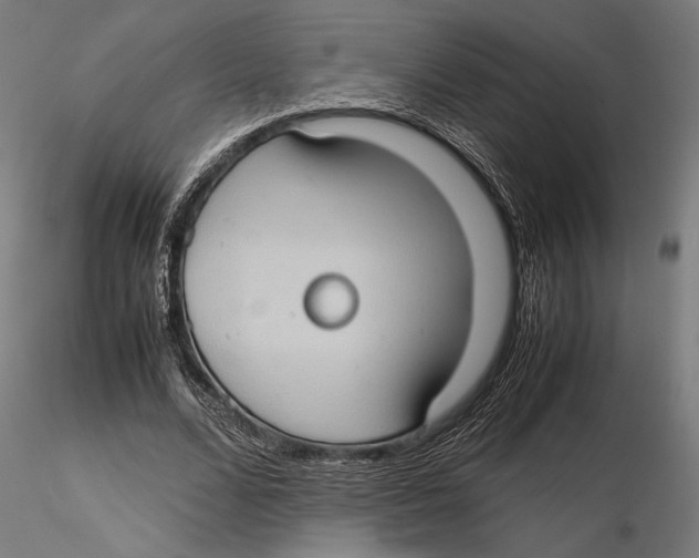 X0000115510680200912041102