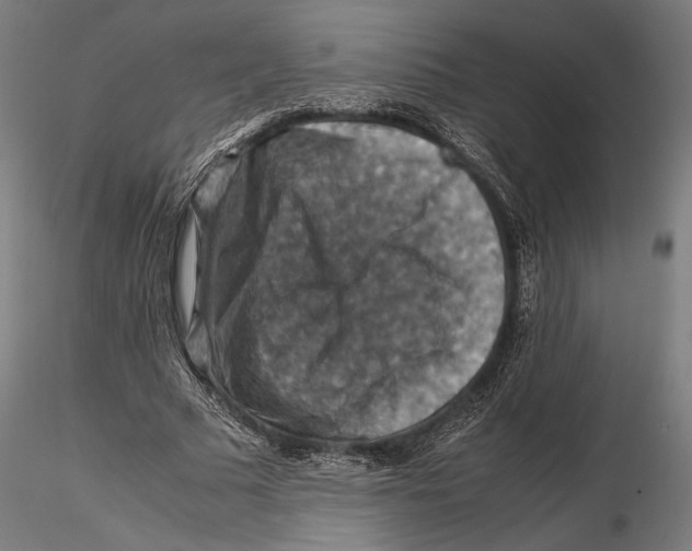 X0000115510681200912041102