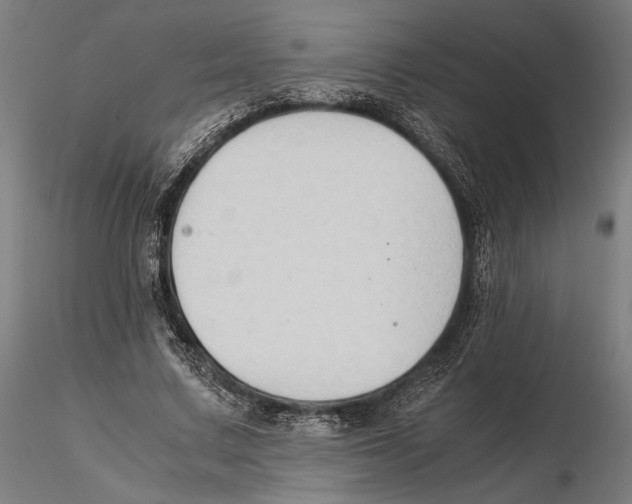 X0000115510683200912041102