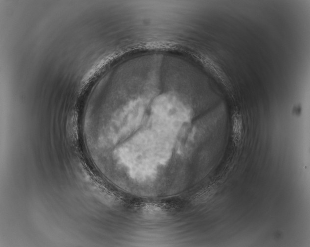 X0000115510684200912041102