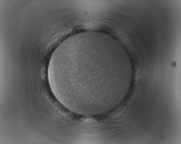 X0000115510689200912041102