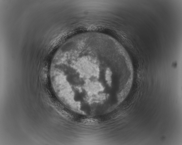 X0000115510691200912041102