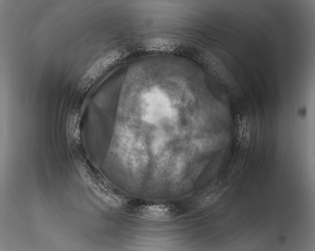 X0000115510692200912041102