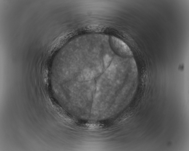 X0000115510693200912041102