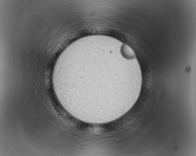 X0000115510695200912041102