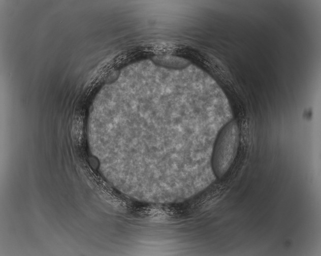 X0000115510697200912041102