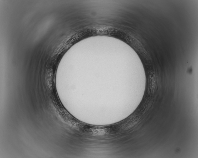 X0000115510698200912041102