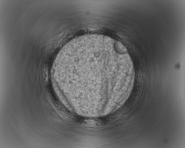 X0000115510703200912041102