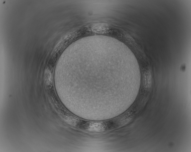 X0000115510705200912041102