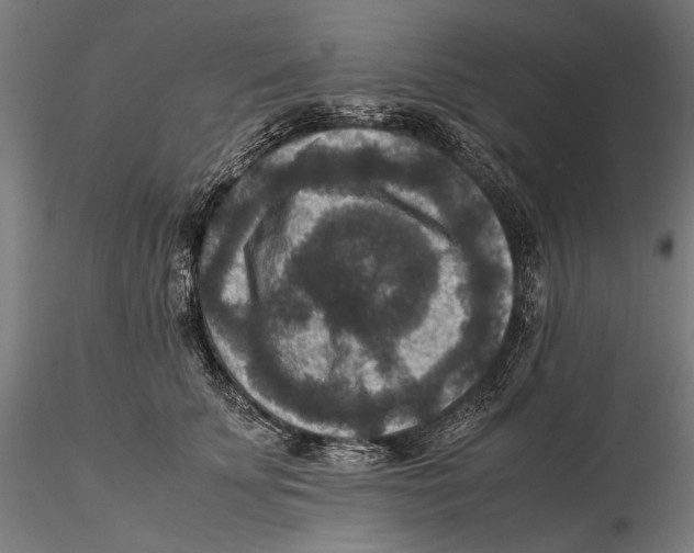 X0000115510707200912041102