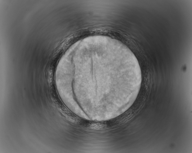 X0000115510708200912041102