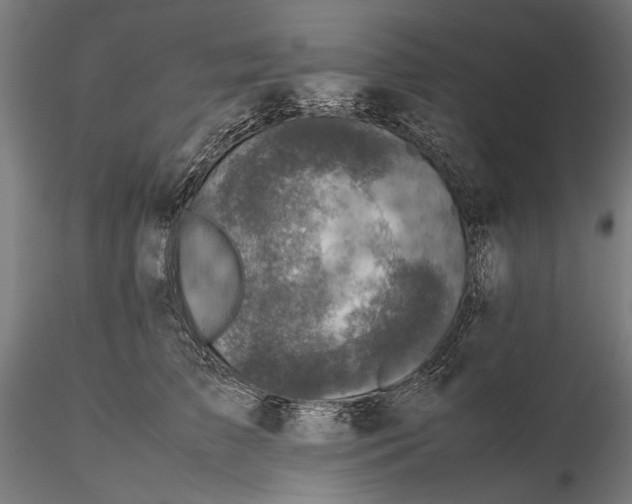 X0000115510709200912041102