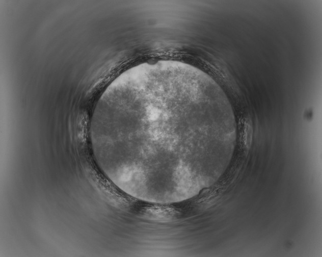 X0000115510712200912041102