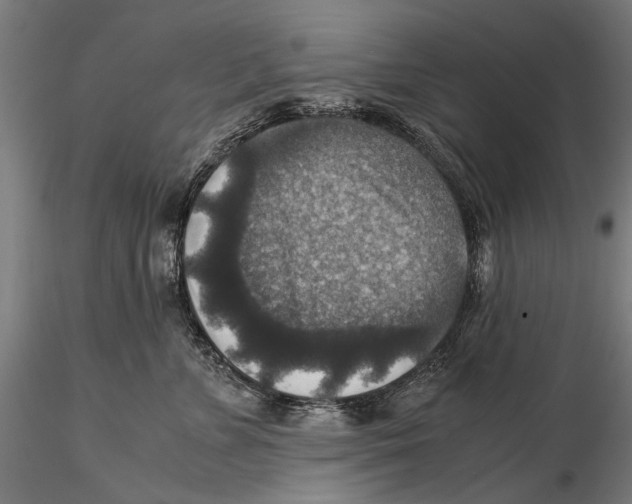 X0000115510715200912041102