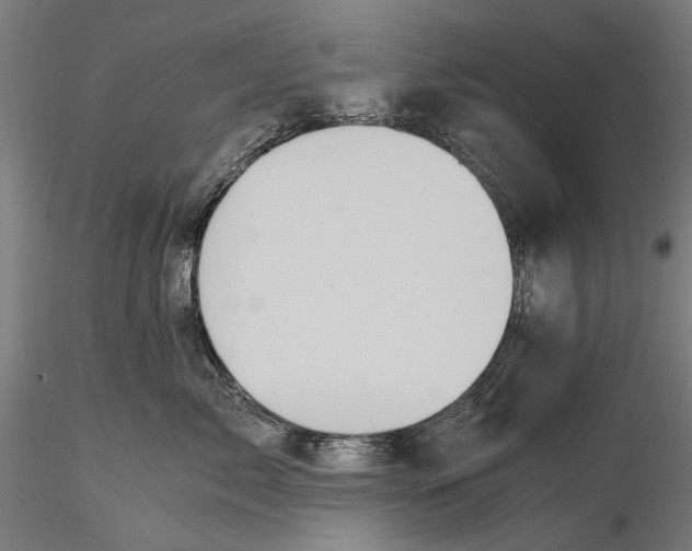 X0000115510717200912041102