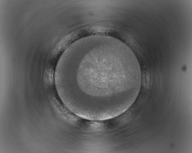 X0000115510718200912041102