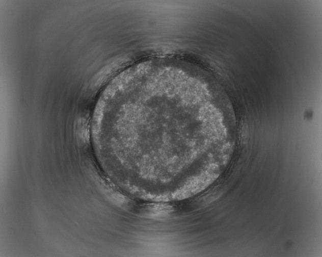 X0000115510719200912041102