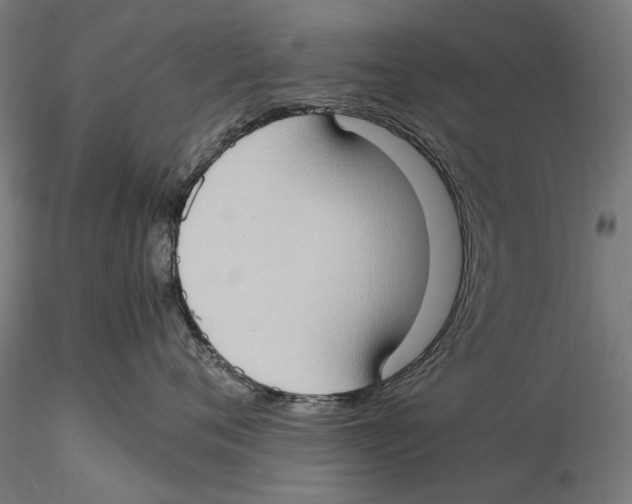 X0000115510720200912041102